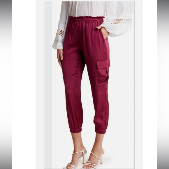 Ramy Brook LANCE Cargo Jogger Satin Pants S Boysenberry - Picture 1 of 5